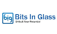 BIG logo new web2